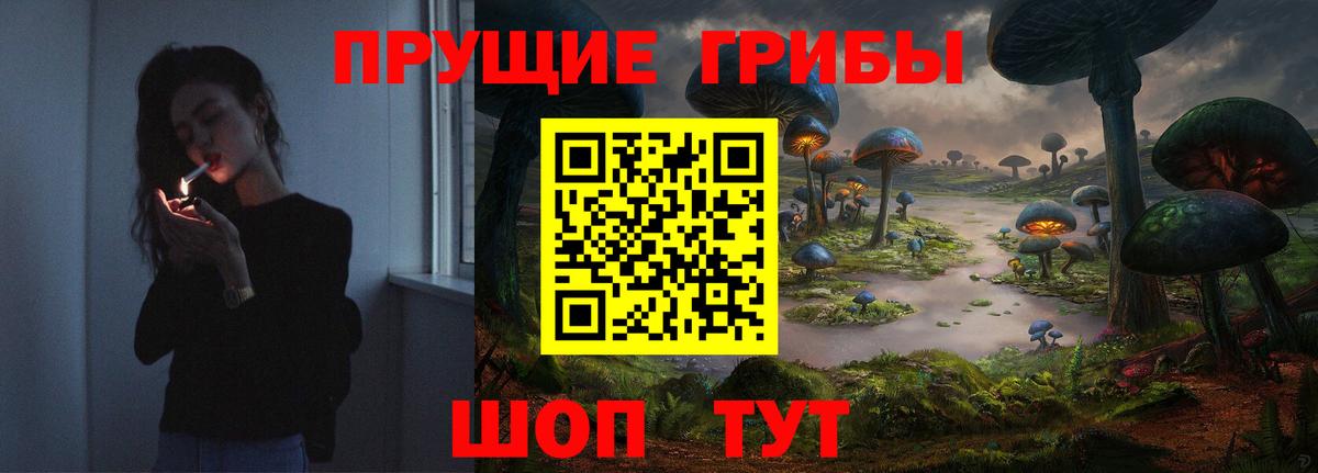 Михайловка  Псилоцибиновые грибы ЛСД  Вход с VPN 